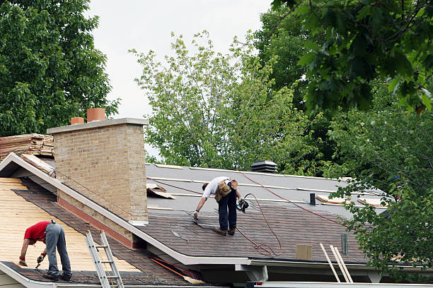 Best Roof Gutter Cleaning  in Falls Creek, PA