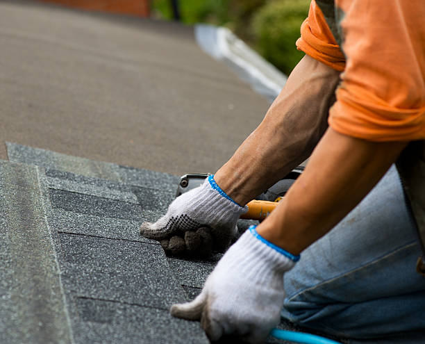 Best Metal Roofing Contractor  in Falls Creek, PA